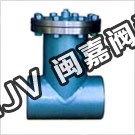 永嘉T型焊接過濾器